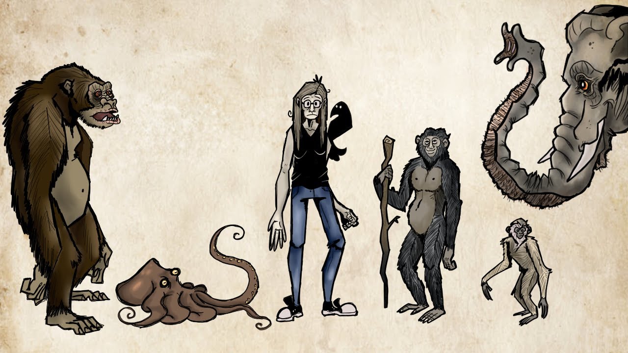 Humans ARE NOT Special...We're RARE