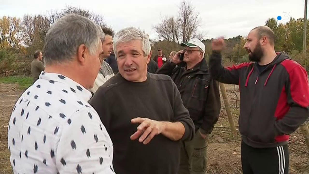 Aude : la solidarité des vignerons du Languedoc avec les viticulteurs sinistrés de Trèbes