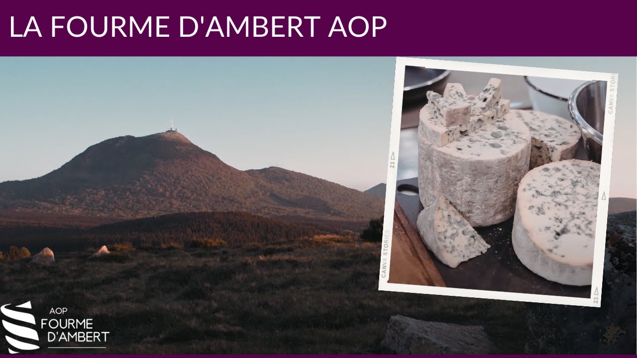 Présentation AOP Fourme d'Ambert
