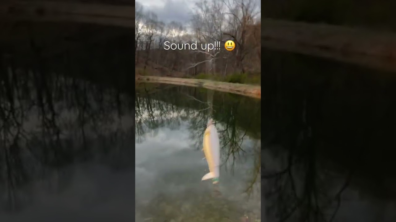 3D printed Whopper Plopper?!?!? How good does it work?!?!?