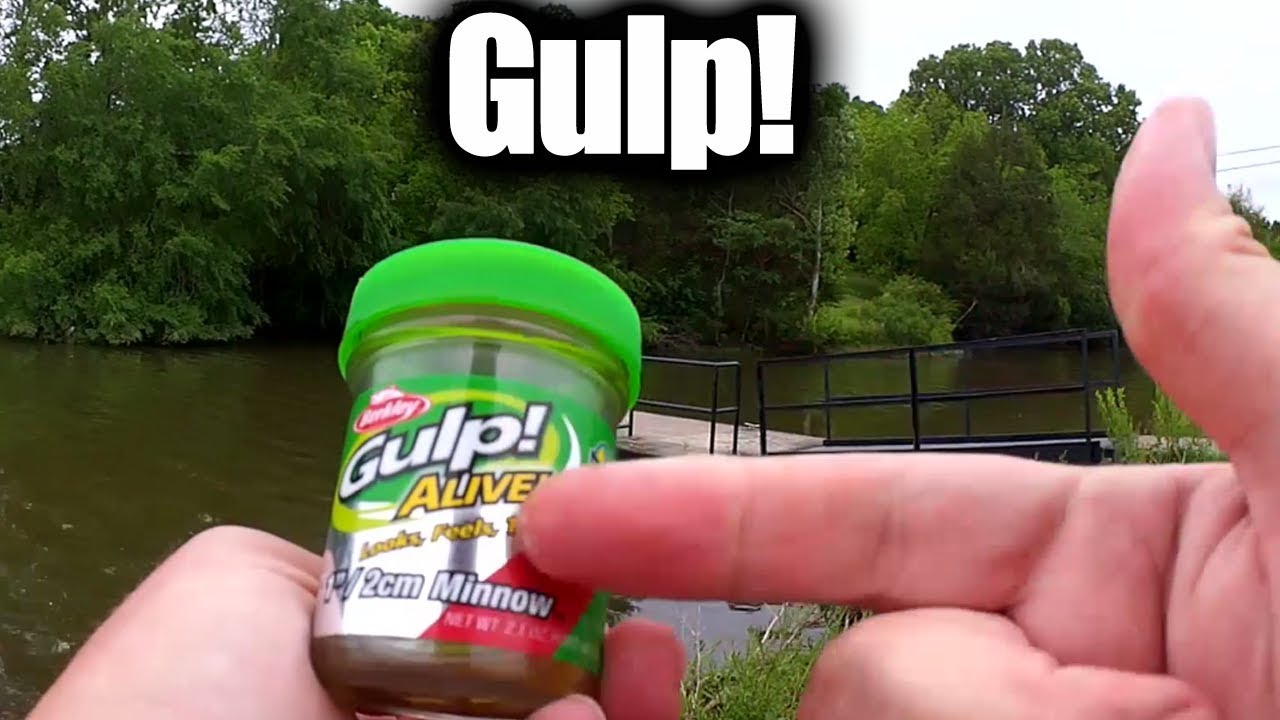 Surprising Catch With 1 Inch Gulp Minnow! Realistic Bank Fishing