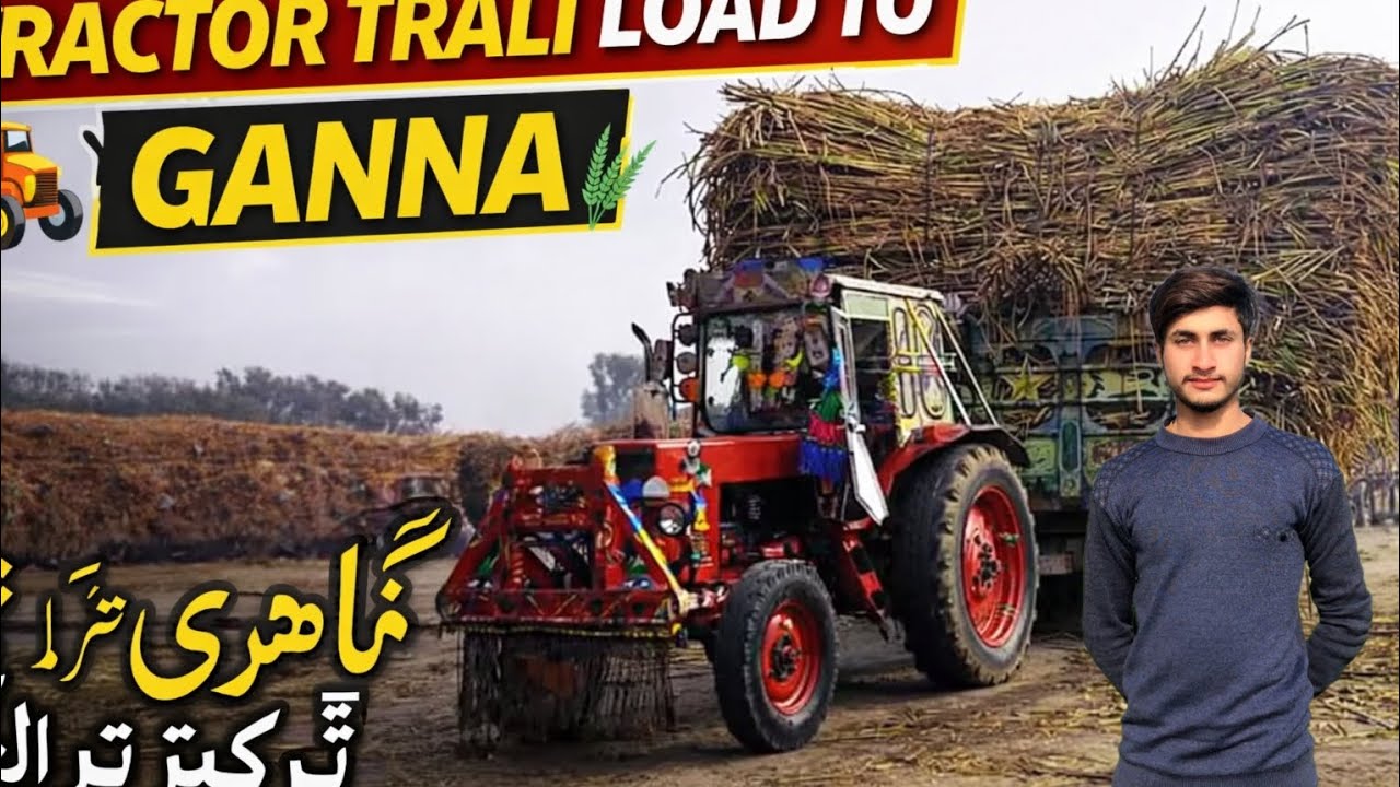 Tractor Trolley Load to Ganna | Sugarcane Loading in Village🚜🌾