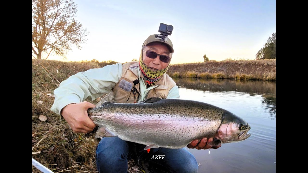 Catching Silver Creek Monster Trout Real Fly Fishing Video 12 lbs. Plus Hog Nov 2024 AZ