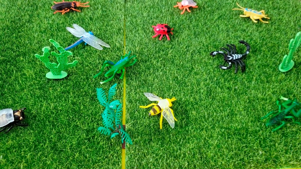 Insetos de Brinquedo - Minha divertida coleção de insetos de brinquedo