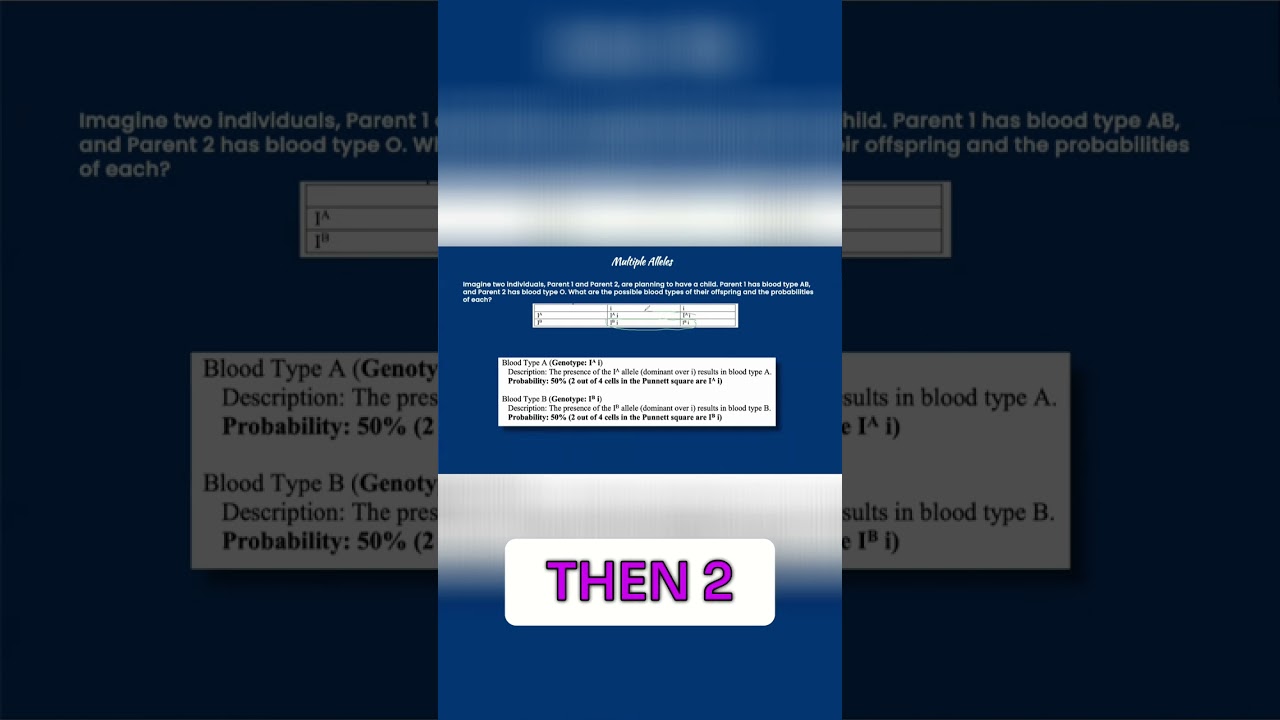 Blood Type Inheritance: Probability & Recessive Alleles