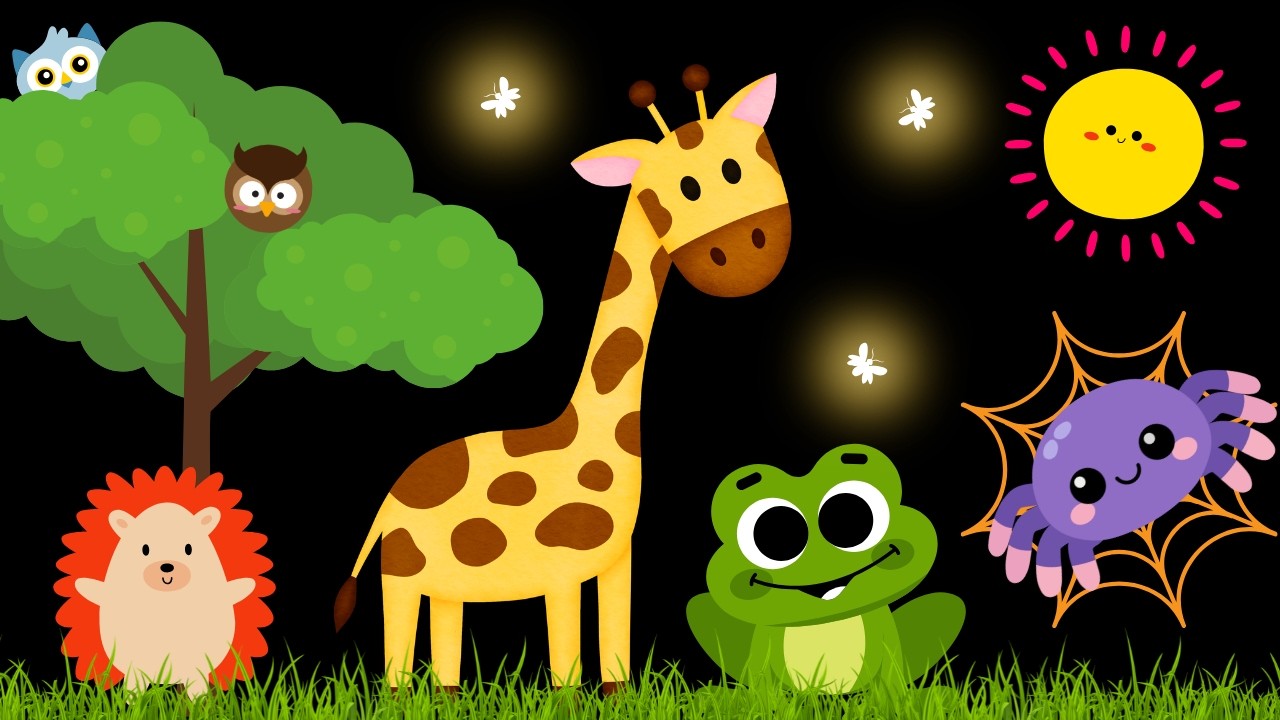 Baby Sensory Video - Tummy Time - Sensory Videos for Babies - Visual Stimulation for Newborn #baby