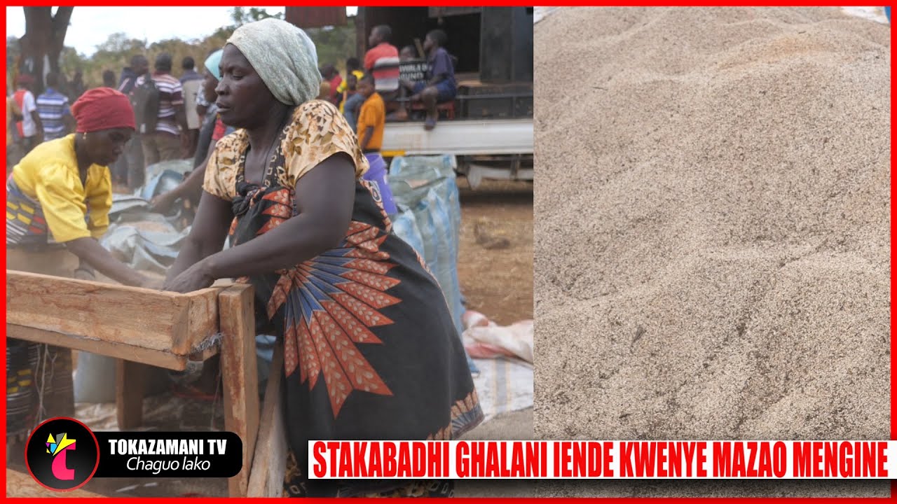 #live Bei ya ufuta Ruvuma 4105 wakulima waomba na mazao mengine yaingie kwenye stakabadhi ghalani.