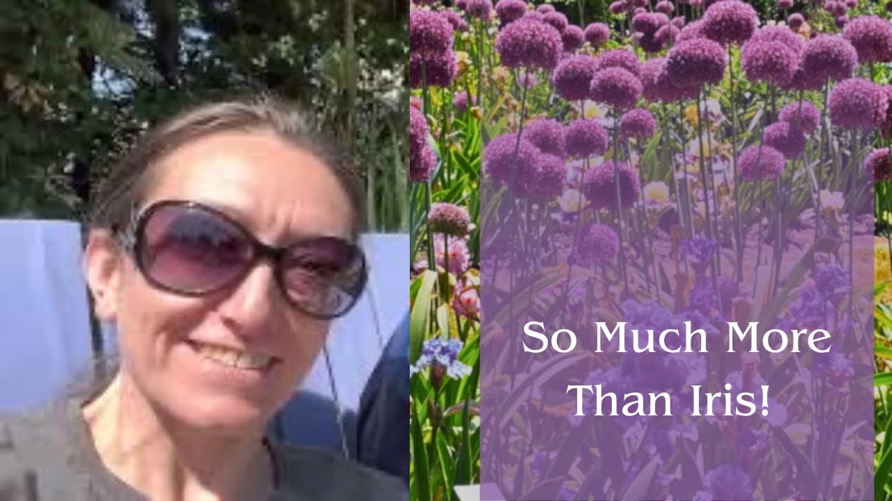 A Walking Tour through Schreiner’s Iris Gardens