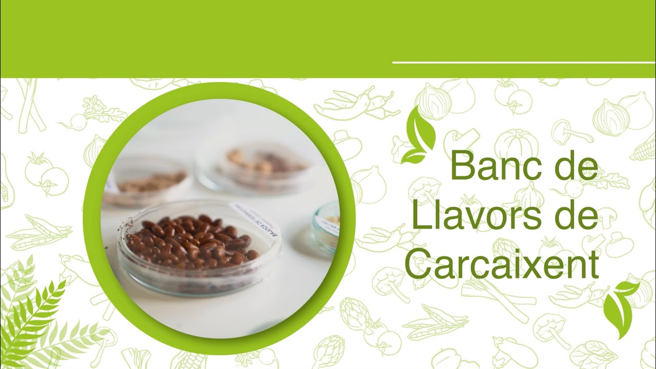 El banc de llavors de Carcaixent - Varietats Tradicionals Valencianes II