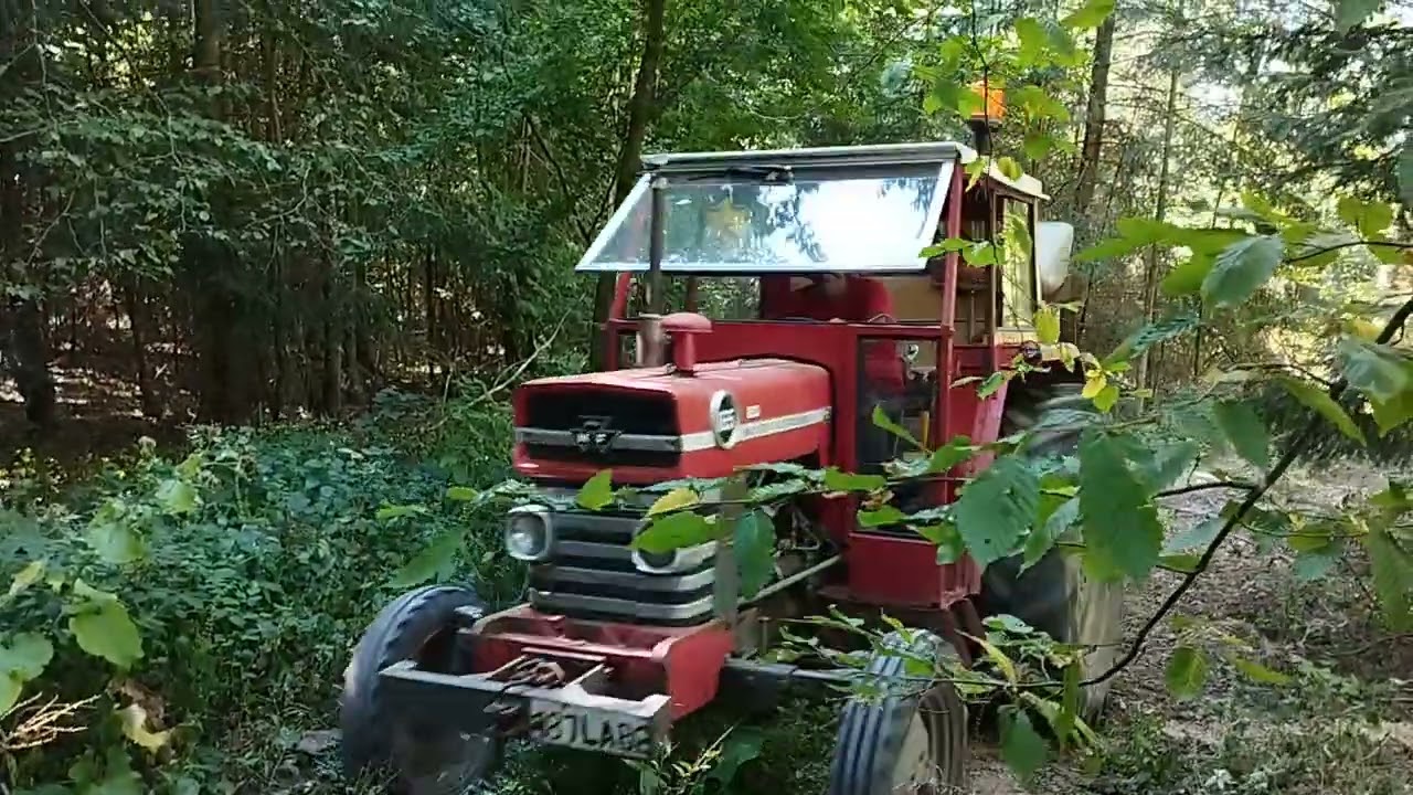 débardage bois de chauffage (chute) Massey Ferguson 165 et bêne 5 stère faite maison
