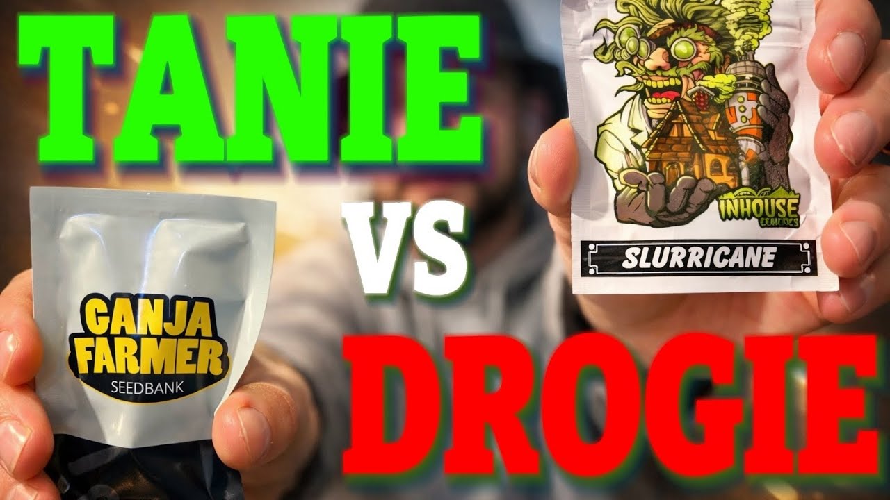 NOWY SEZON : TANIE VS DROGIE ⚠️