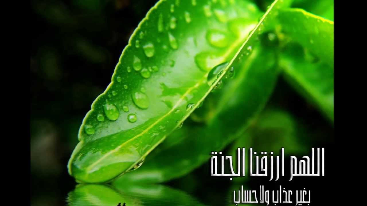 تلاوه مؤثره بصوت رائع لـ سورة الواقعه الشيخ محمد كمال