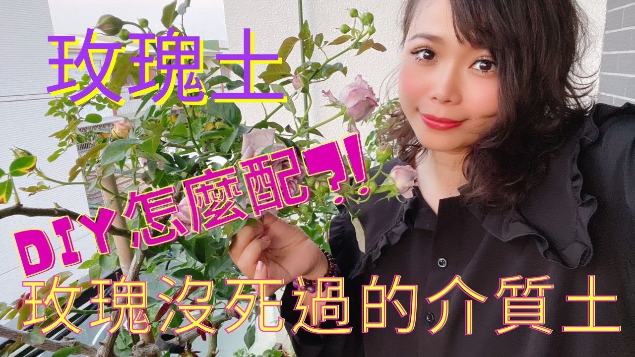 DIY介質土-這樣的介質土玫瑰月季超愛-沒死過  (前提是必須搭配五要素 )  玫瑰種植五要素之一: 介質土