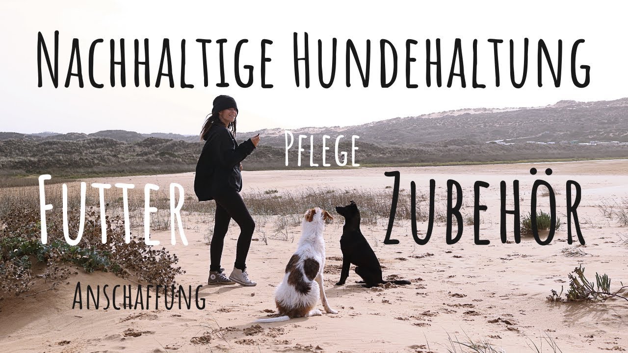 Nachhaltige Hundehaltung | Wo anfangen ? | Nachhaltig leben mit Hund