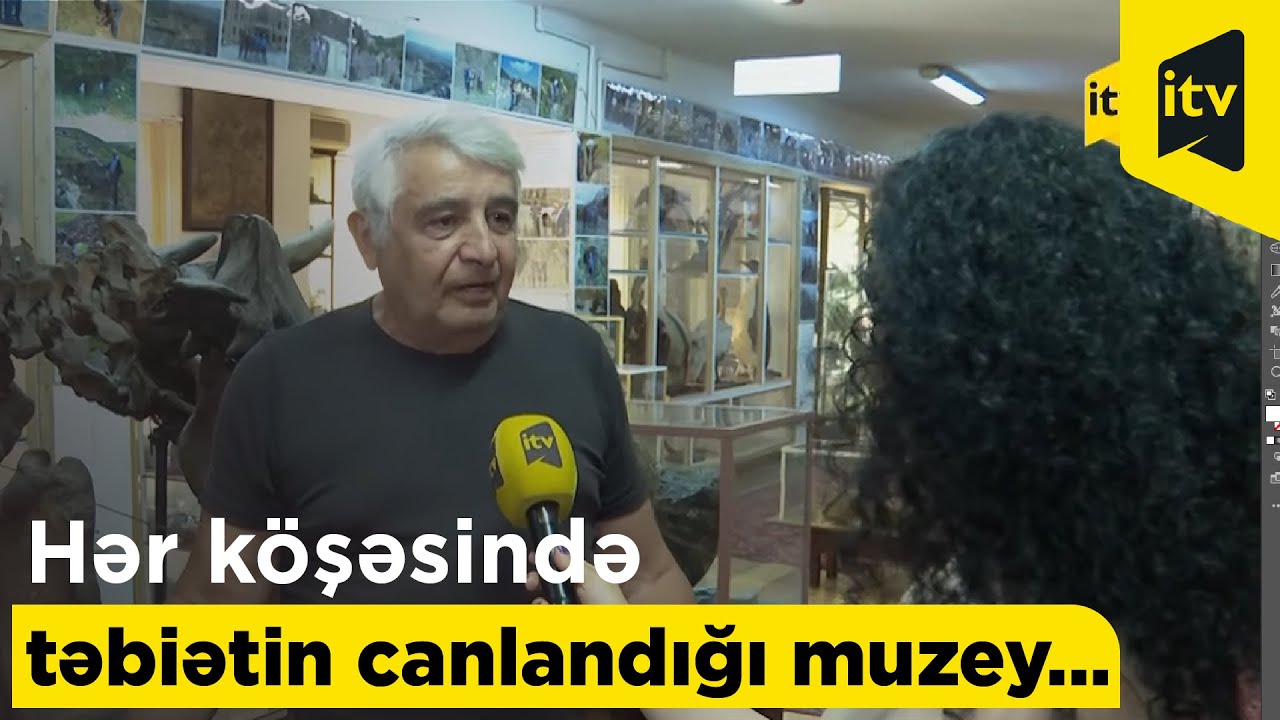 Hər köşəsində təbiətin canlandığı muzey…