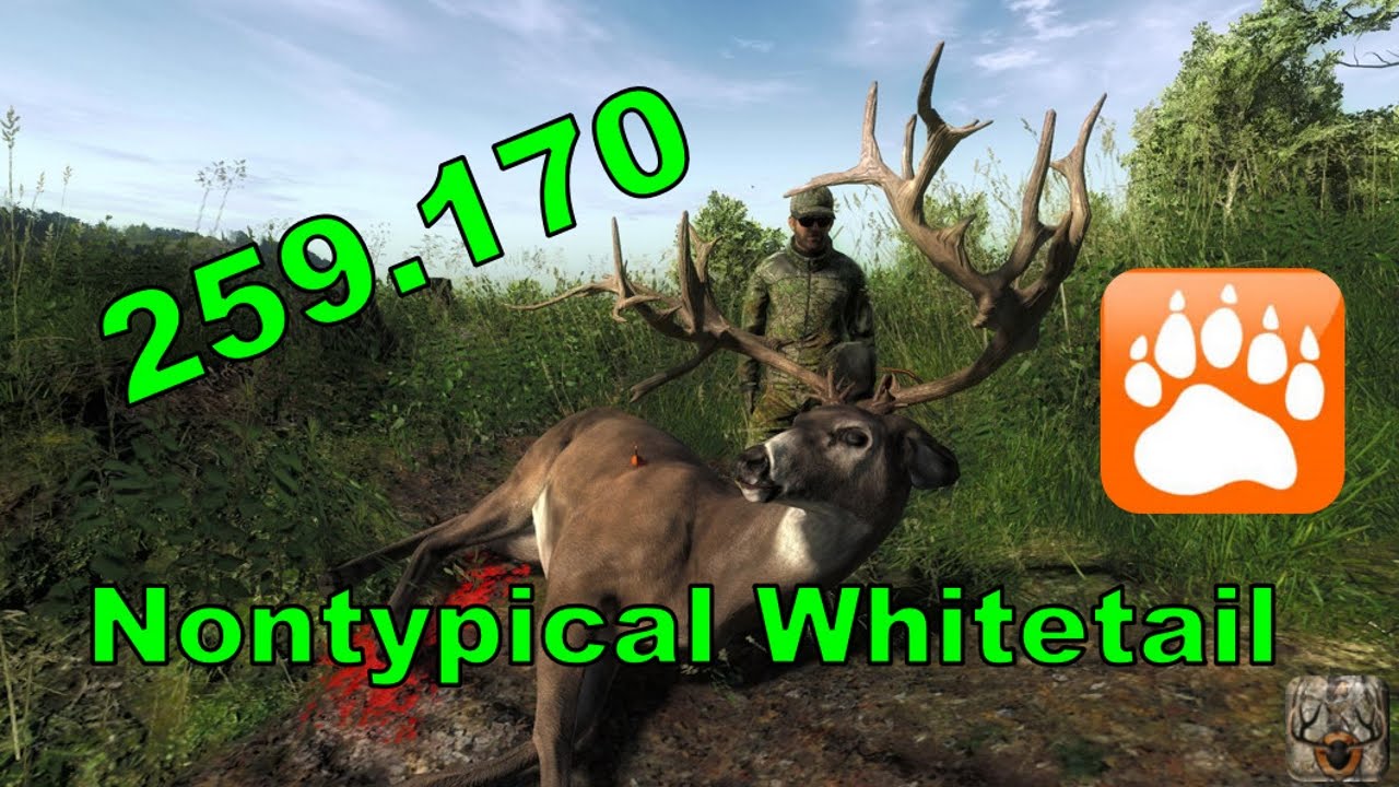 Huge Nontypical Whitetail Buck | theHunter 2016