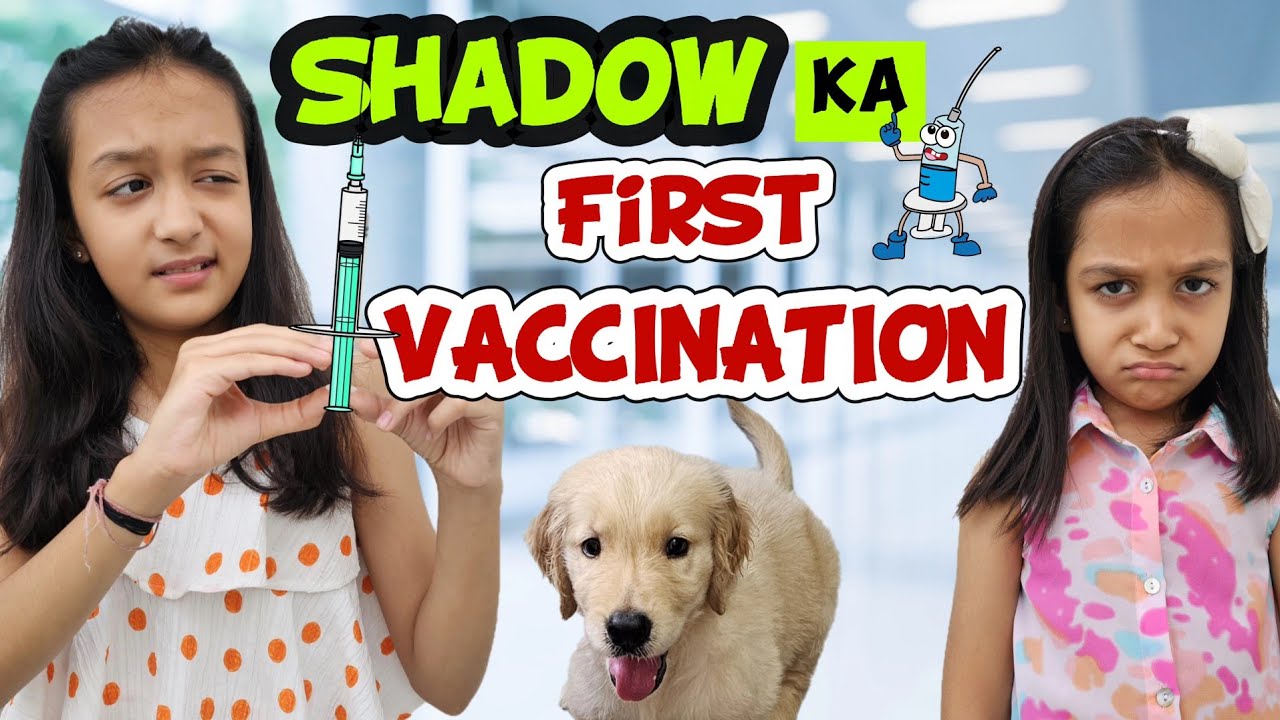 SHADOW Ka First Vaccination 💉🐶🥺😢 | Aayu Vanu Ka Pet | Pet Lover | Family Vlog | Aayu and Vanu
