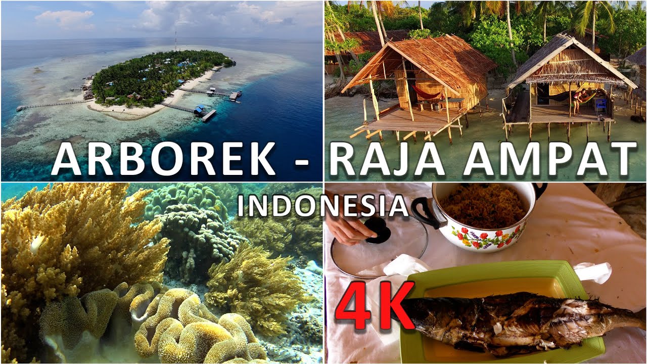 Arborek island, Raja Ampat, Indonesia - drone, price, accommodation, snorkeling, food in 4K