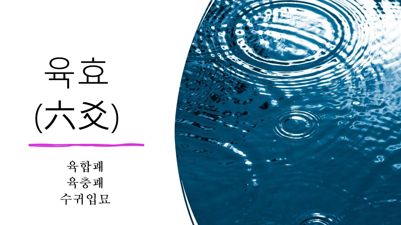 제91강 육합괘와 육충괘  수귀입묘