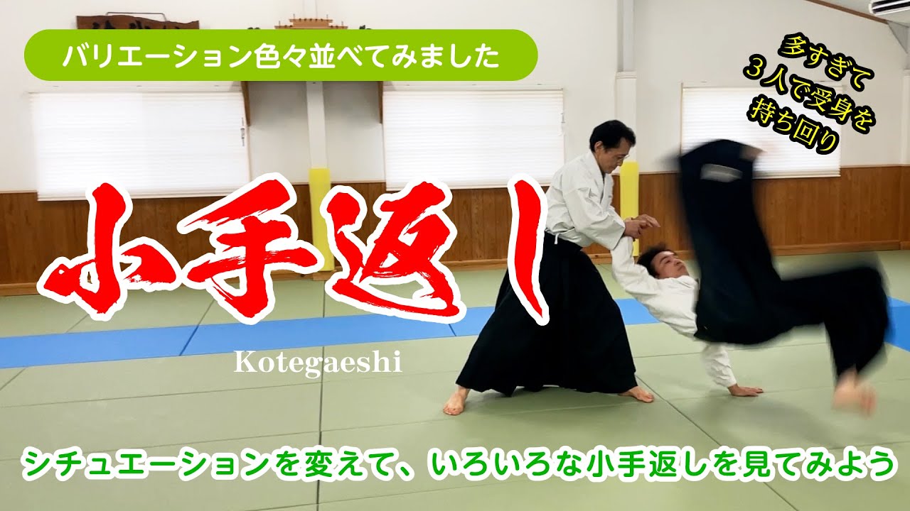 いろんなバリエーションを見てみよう「小手返し」#合気道 #aikido