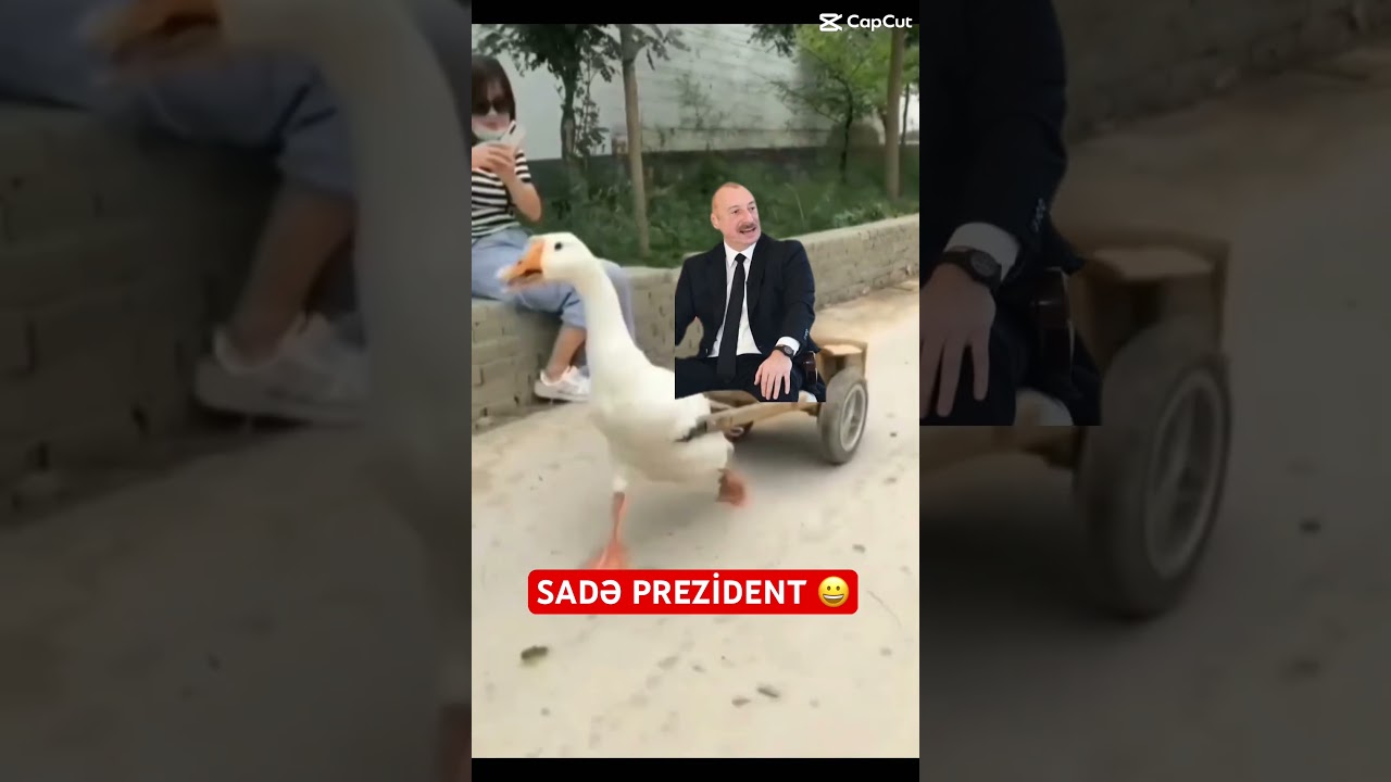 QAZ VERMƏ QAZ VERMƏ AY İLHAM 😀