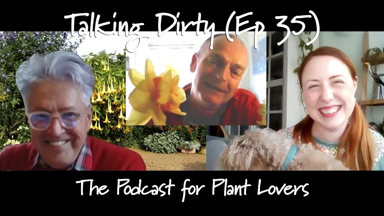Talking Dirty: Narcissus Special - Adrian Scamp, Scamp's Daffodils (The Get Gardening Podcast Ep 35)