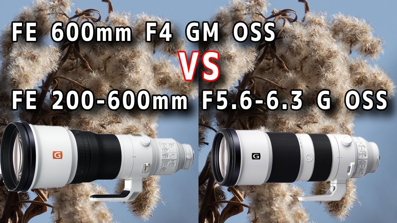 【SONY】FE 600mm F4 GM OSS VS FE 200-600mm F5.6-6.3 G OSS ソニー望遠対決をしたら意外な結果がでた 【SEL600F40GM SEL200600G】