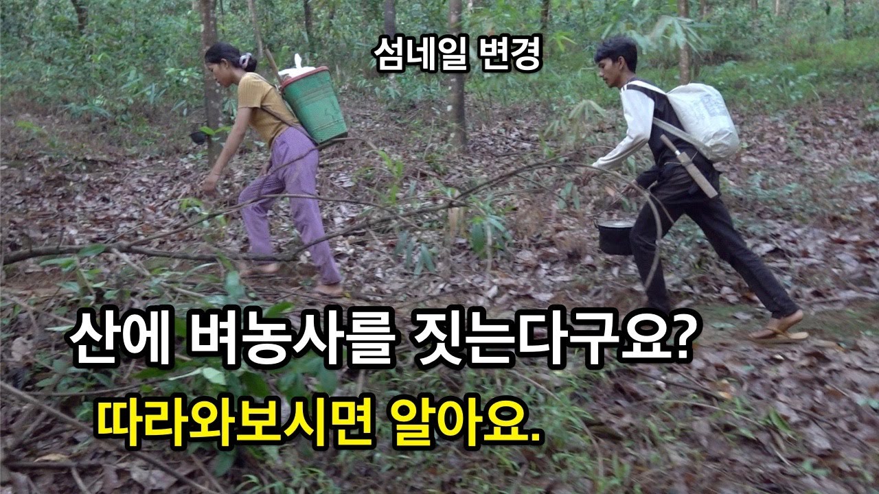 화전에 볍씨 뿌리는 날 /  몽족부부의 결혼 생활 이야기