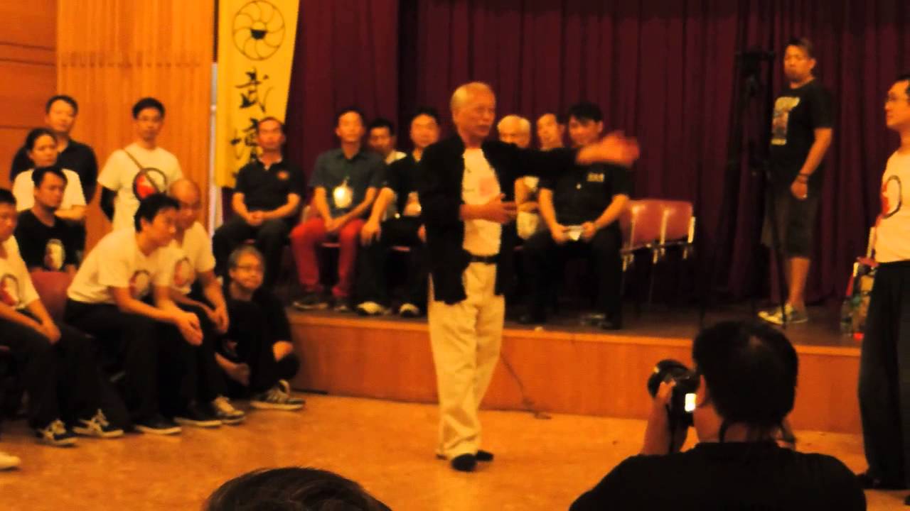 20150905 八極拳觀摩會 -- 徐紀老師