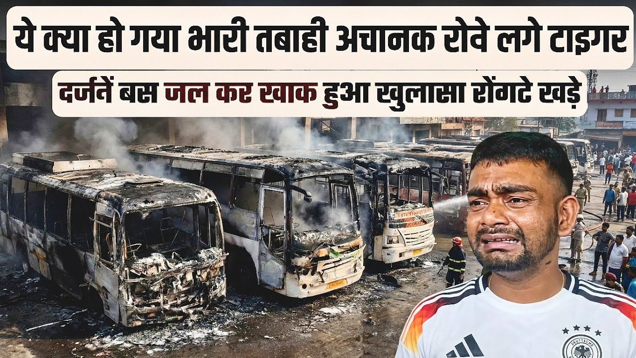 बड़ी बुरी खबर ये क्या हो गया अचानक रोने लगे टाइगर |  दर्जनों बस ज'ल कर खाक हुआ खुफिया खुलासा