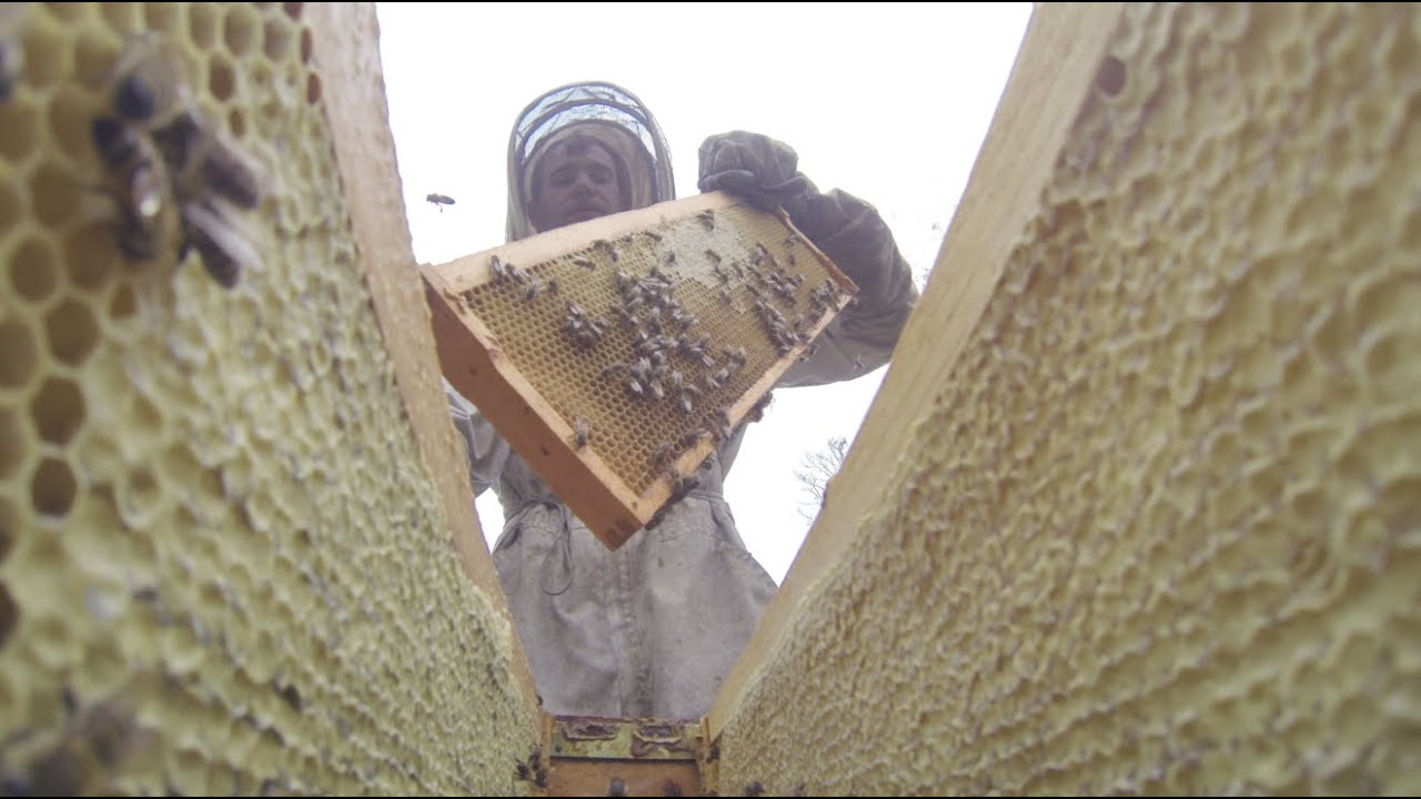 Honeyrun Farm