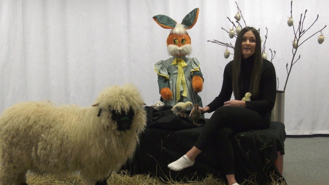 Die TV Westsachsen Ostertipps 2026