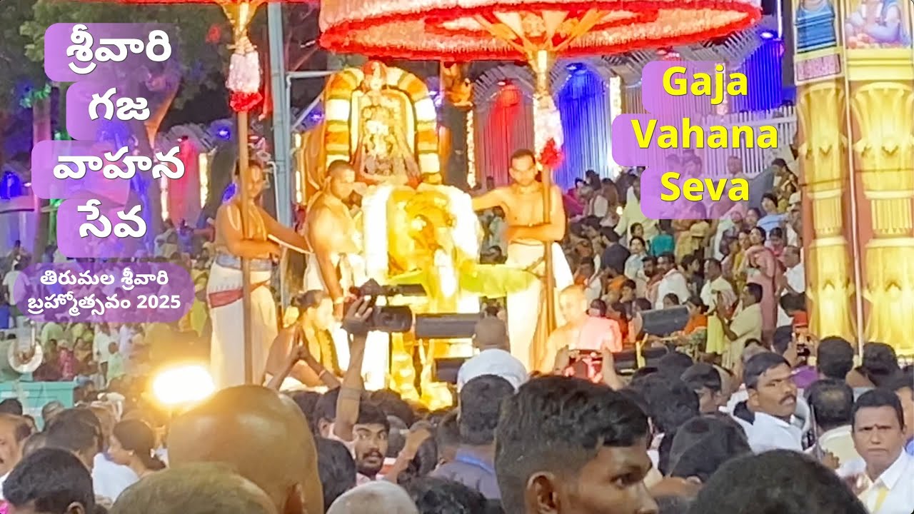 Divine Gaja Vahana Seva | Tirumala Srivari Brahmotsavam 2025 | Lord Venkateswara #ttd #tirumala