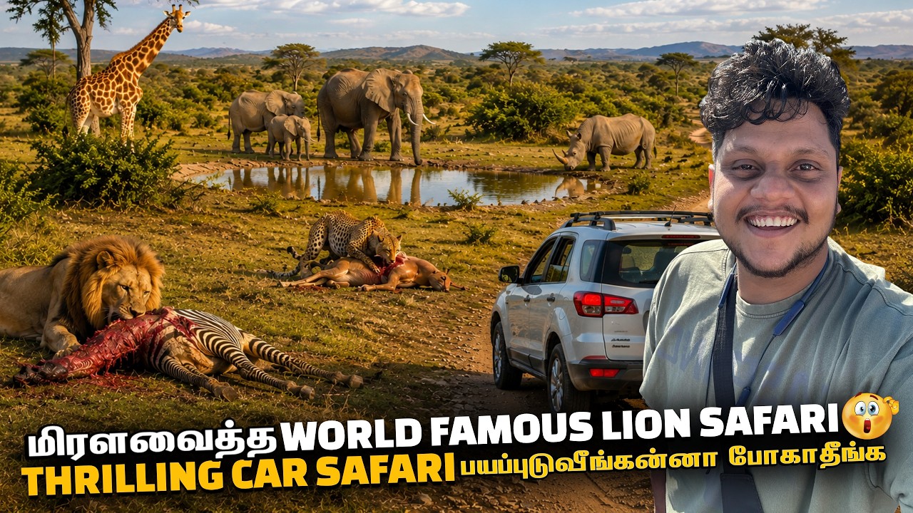 மிரளவைத்த World Famous African lion Safari | South Africa Ep 8
