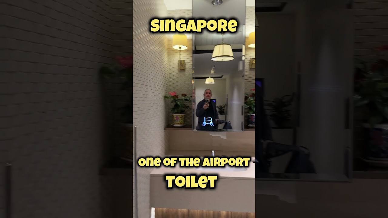 Singapore’s airport toilet