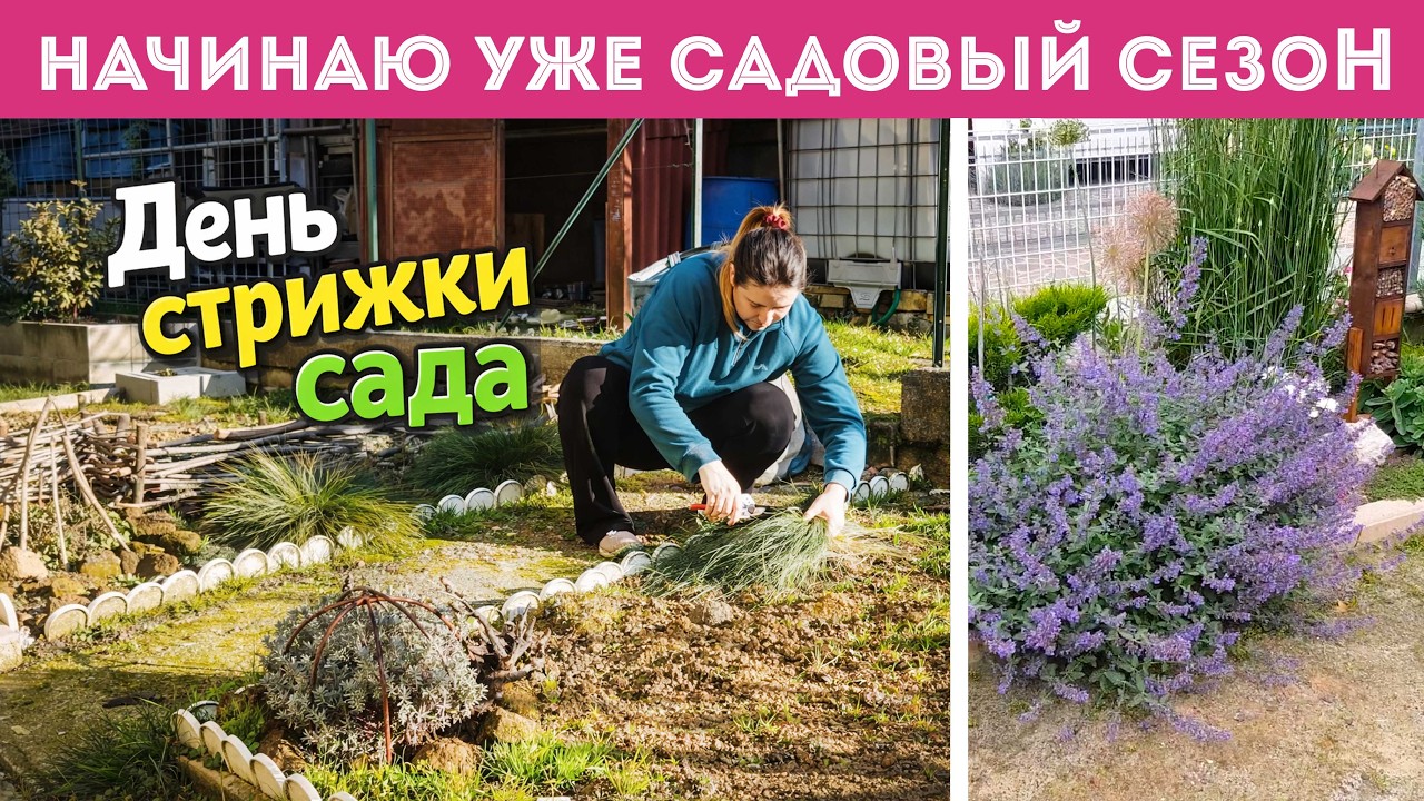 ⭐ВЗЯЛАСЬ ЗА СЕКАТОР. Пора стричь растения. Клумба от весны до зимы с фото