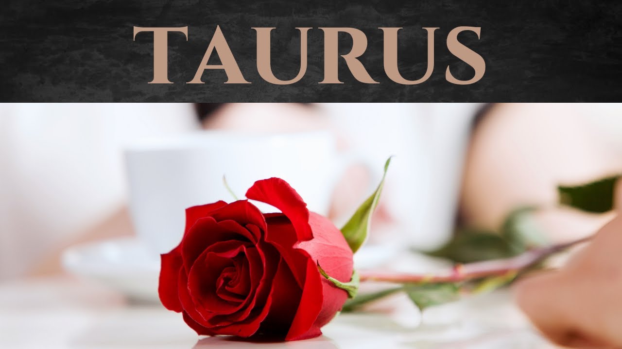 Taurus💖~Ex Returns Because They Are Jealous Of This New Love!!