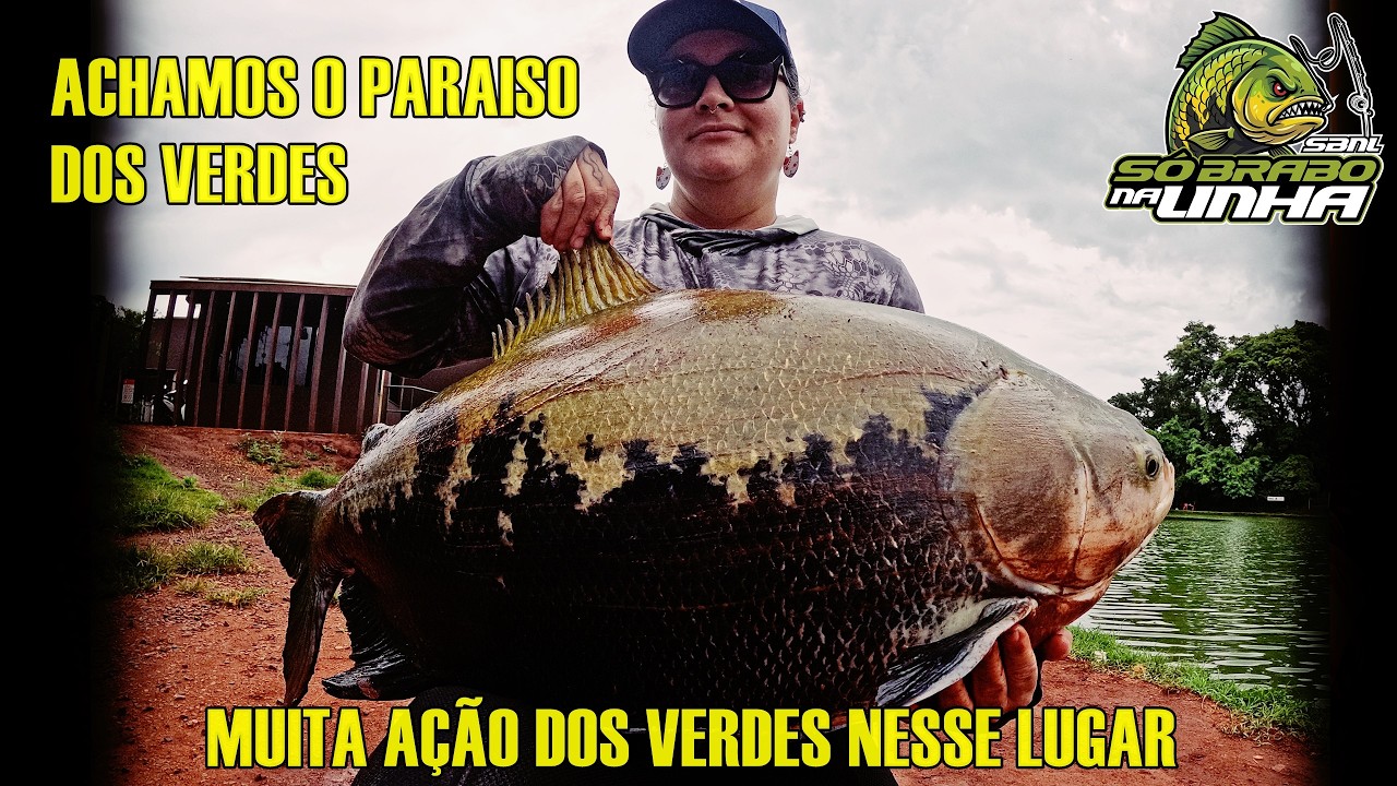 ACHAMOS O PARAISO DOS VERDES - MUITA AÇÃO DOS TAMBAQUI O DIA TODO