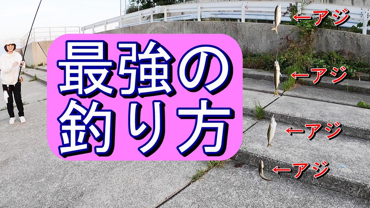 この仕掛けと釣り方マジで釣れます！【サビキ釣り】《アジ釣り対決》