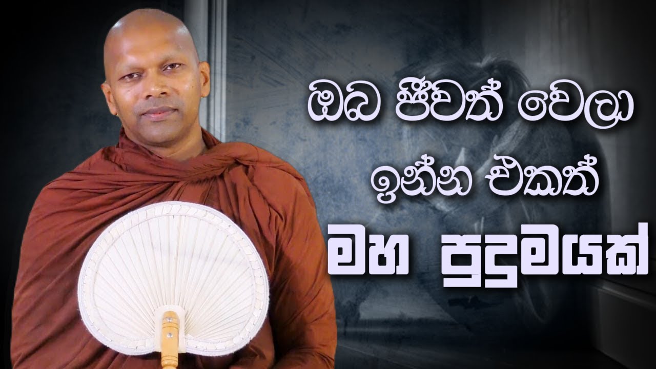 ඔබ ජීවත් වෙලා ඉන්න එකත් මහ පුදුමයක් | Niwana Soya | Niwathapa Thero Bana #bana #budubana #deshana
