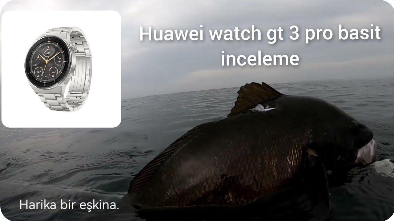 kaçan trofe zıpkınla balık avı muhteşem kaşarlı bomba... Huawei watch gt 3 pro su altı incelemesi