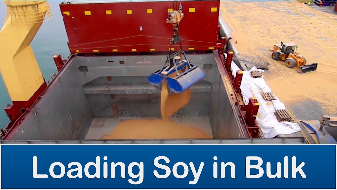 CSA - Loading Soy in Bulk - Arica port, Chile