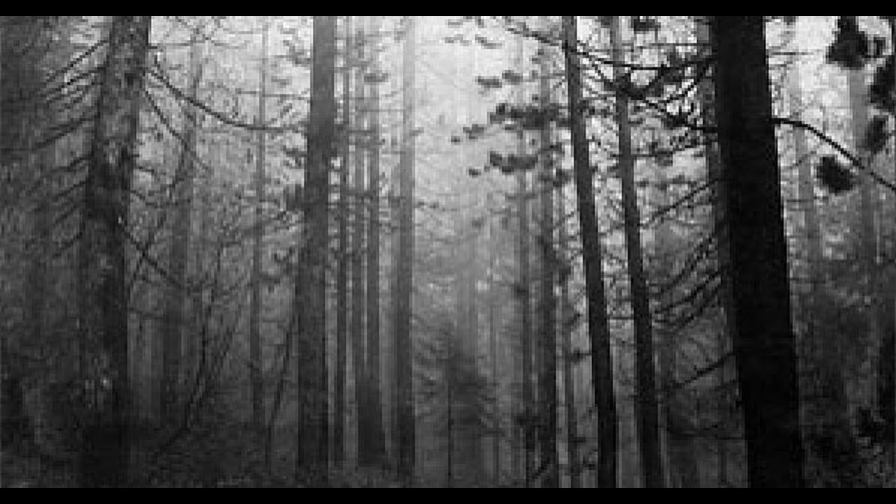 INCENDI KIF - Escalf