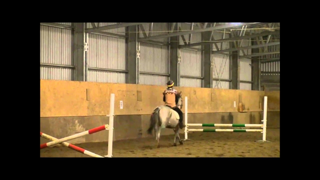 Molde Hestesport Klubb's juleshow 2010