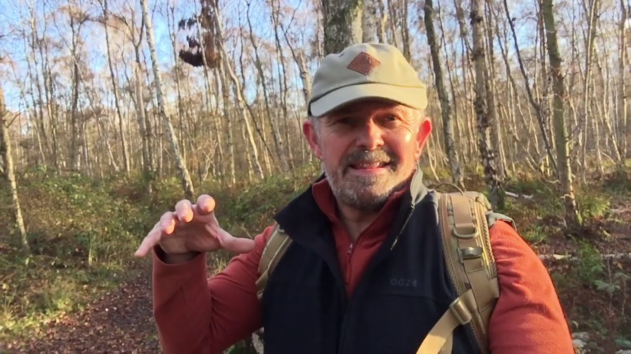 How To Light a Fire With Horses Hoof Fungus