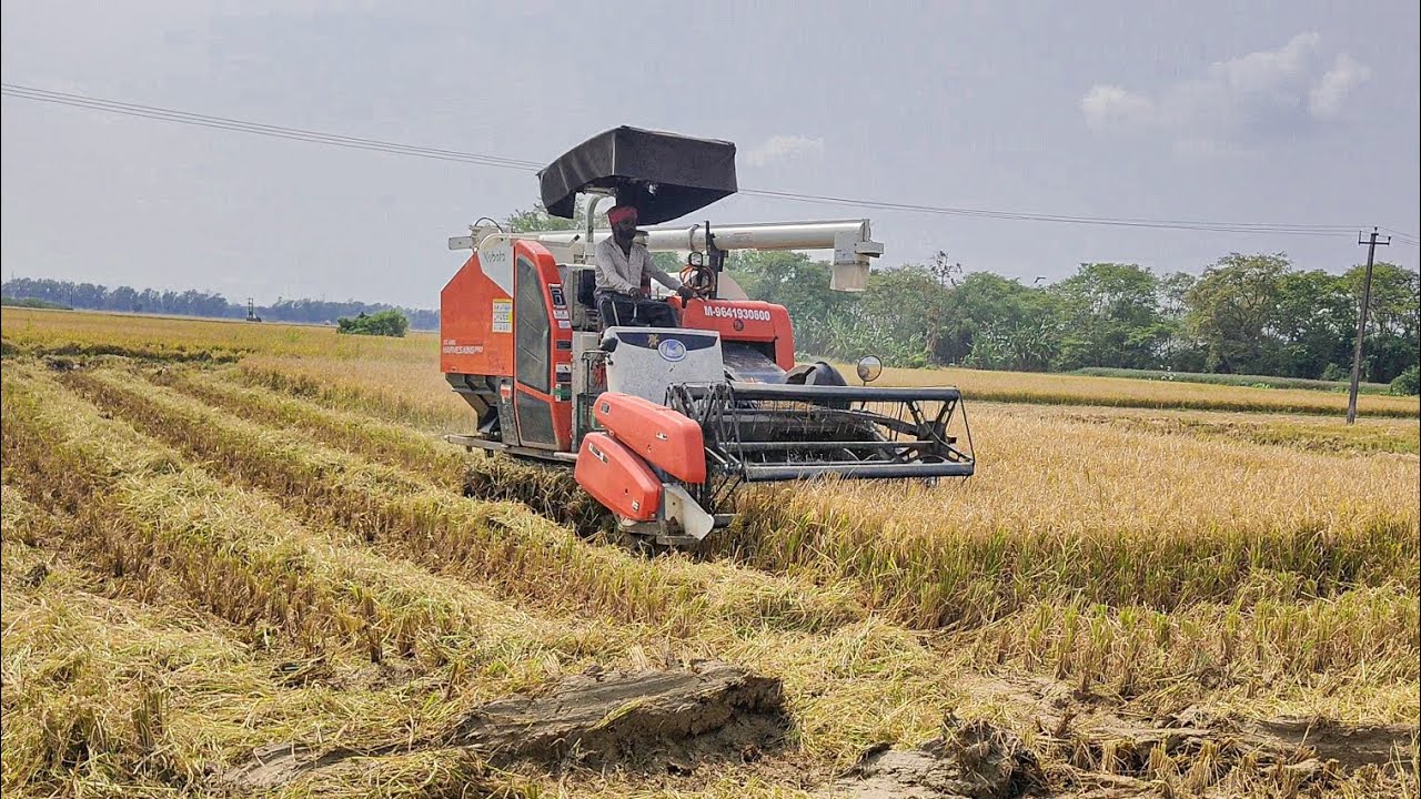 Kubota King Pro Working In Mud | Kubota Harvester Speed Working 
