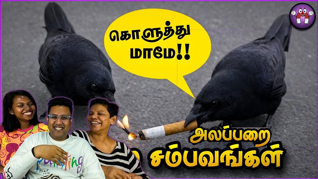 Funny Animals Kiya Miya Reaction 🐩 😂 | Ramstk Family@themagnetfamily2.0