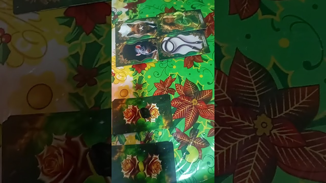Estou grávida tarot? Sim ou não 
