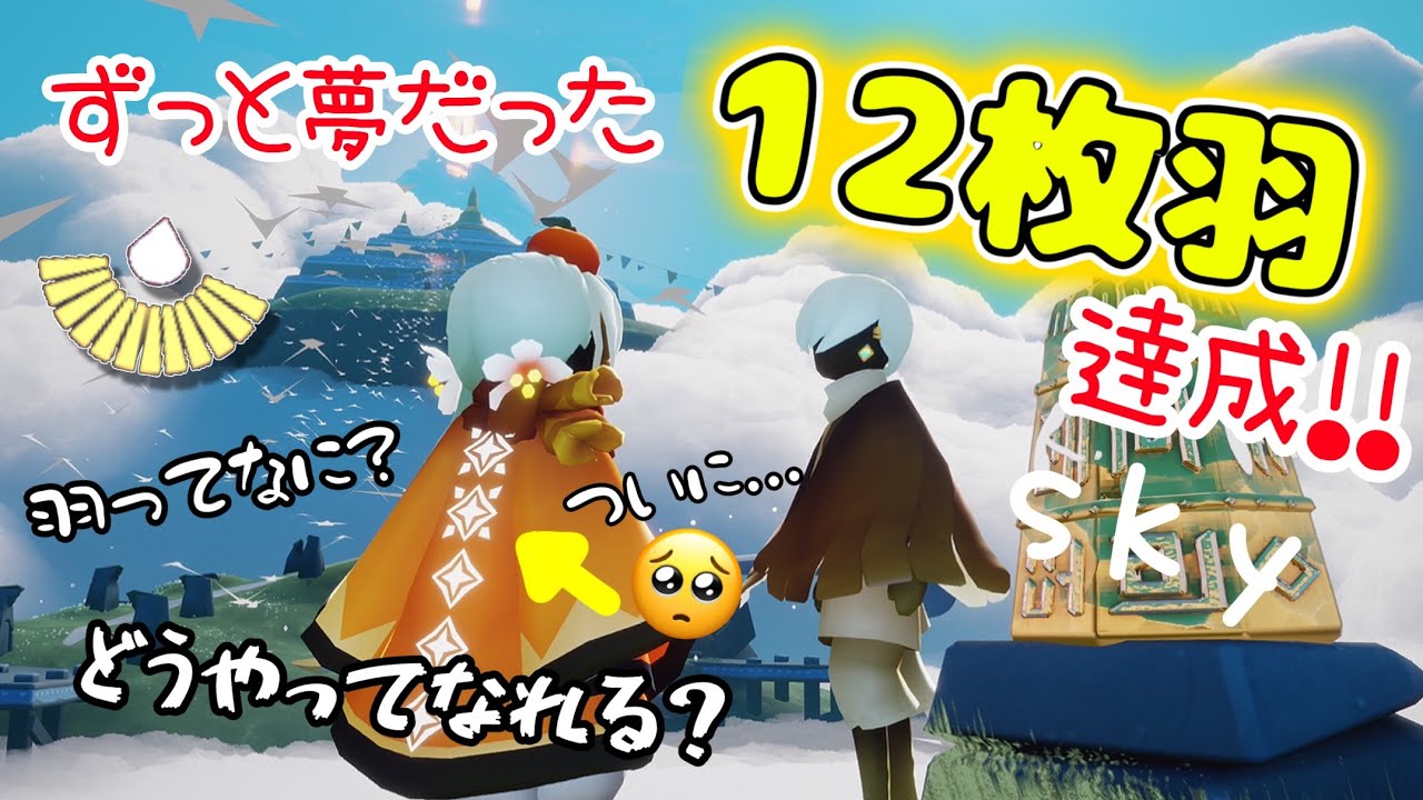 (Sky 星を紡ぐ子どもたち)515 夢の12枚羽なれた！羽の増やし方、星キャンって何？全エリアの光の子は何人？