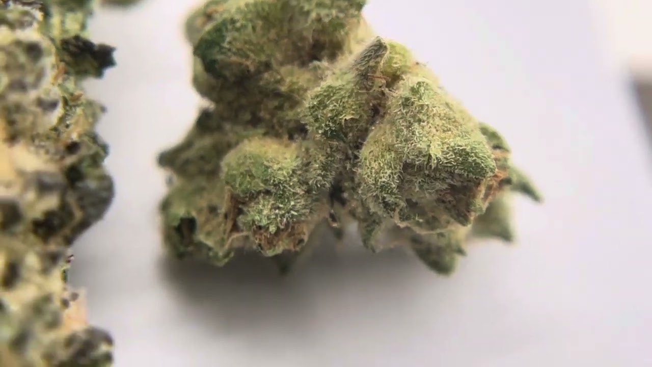 ￼ Super close up of THC crystals!!! ￼ Grease monkey from heya wellness